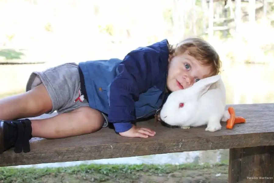 Recreação Infantil - Hotel Fazenda Parador Maritacas - 22