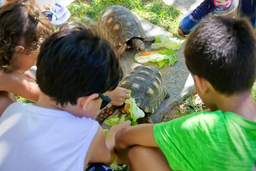 Recreação Infantil - Hotel Fazenda Parador Maritacas - 6