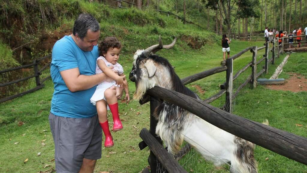 Pai e filha observam uma cabra em área rural de hotel fazenda para ir com criança e contato com animais.